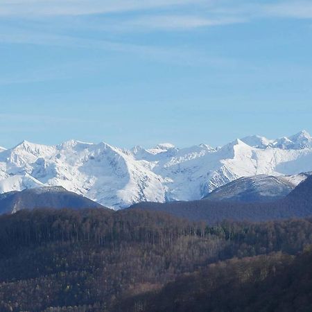 Joli Gite En Ariege Avec Vue Buzan Buitenkant foto